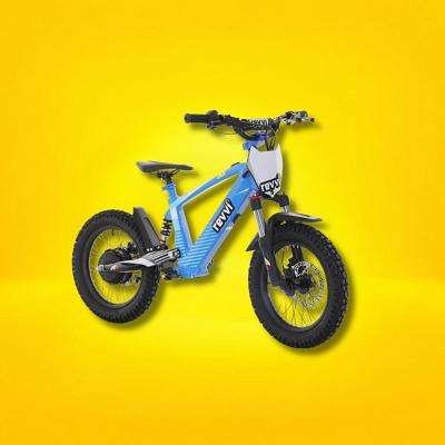 Revvi XL Kids Bike or £500 CASH