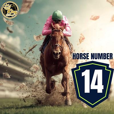 HORSE 14 - £100 CASH