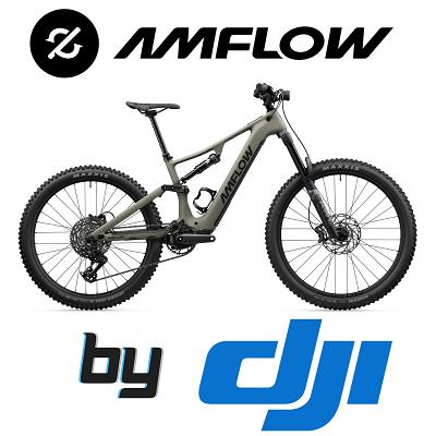 Amflow Pr Carbon E-Bike 